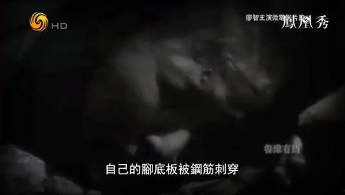无坚不摧2003,铸就辉煌的岁月印记