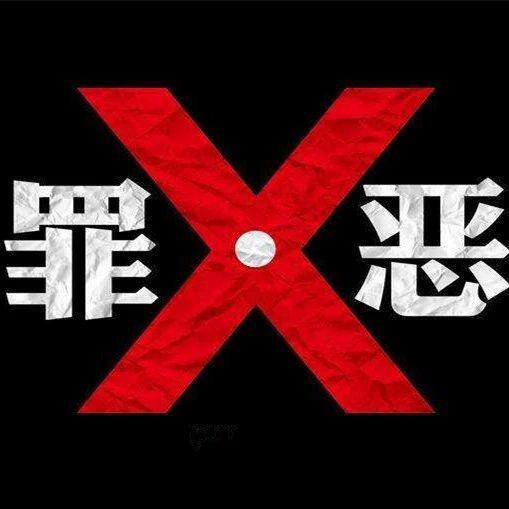 十条命,探寻生命奥秘的旅程